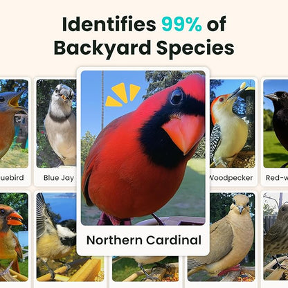 Birdfy Smart Bird Feeder with Camera Solar Powered, Slow-Motion Video & Night Insight, AI Identify 6000+ Species Lifetime Free, Ideal for Outdoors Bird Watching & Gifts for BirdLovers, Wood