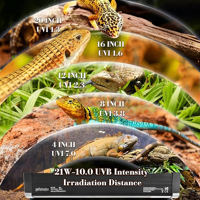 NEPTONION T5 Reptile UVB Light 34.5 Inches Fixture with UVB 10.0 Bulb High Output Hood for Terrariums, Basking Reptiles, Lizards, Chameleons, Iguanas, Bearded Dragons, 21W