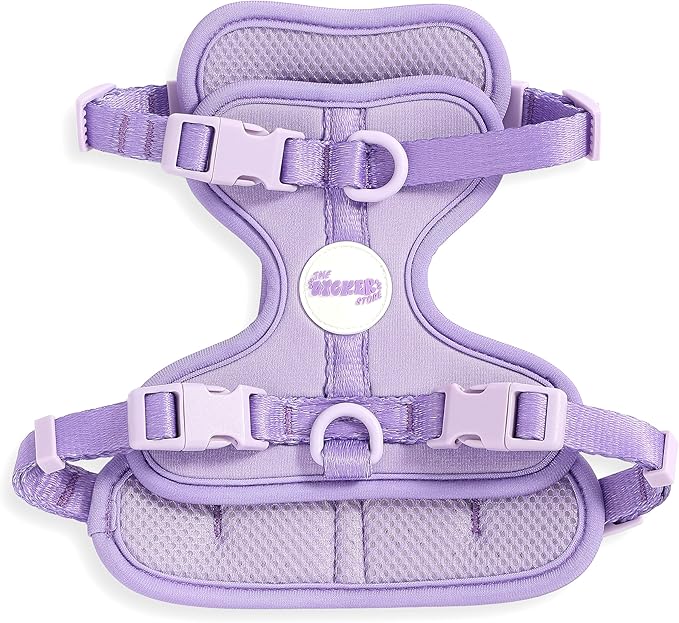 HNS1001H Arlo Small Adjustable Soft Padded No Pull Pet Harness with 3 Buckles and 3 Leash Clips, Bramble