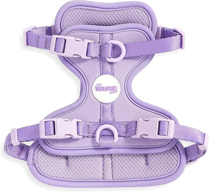 HNS1001H Arlo Small Adjustable Soft Padded No Pull Pet Harness with 3 Buckles and 3 Leash Clips, Bramble