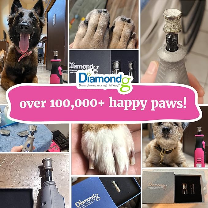 Diamondg Dog Nail Grinder Bit, 1 Pack - Compatible with Dremel, Diamond Bit for Pet Nails with 80 Grit Body & 120 Grit Polishing Bowl - Ideal for Small Dogs Under 30lbs., Standard Little Lola