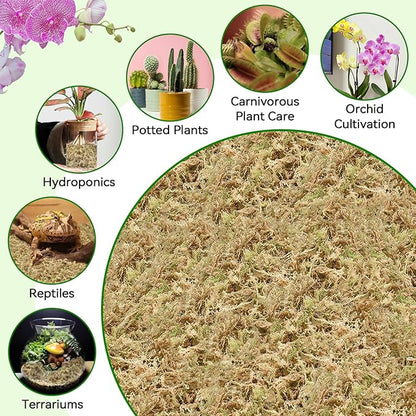 ZeeDix 3QT Natural Sphagnum Moss for Plants, Orchid Moss Potting Mix for Repotting, High Water Retention, Help with Maintain Humidity, Plant Moss for Gardening, Hanging Baskets, Reptile Bedding