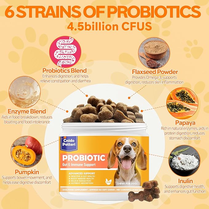 Probiotics for Dogs,6 Digestive Probiotics & 6 Enzymes for Gut Health,Digestion & Gut Support,Helps Diarrhea, Yeast Infection, Upset Stomach,Allergies & Immune System Support-150 Chews