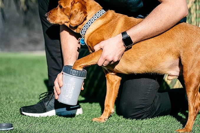 Dexas Lidded MudBuster Portable Dog Paw Cleaner, Light Gray, Large with Lid