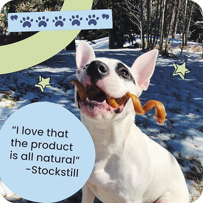 Pawstruck All-Natural 9" Bully Sticks for Dogs - Long Lasting, Rawhide-Free, Low Odor & Grain-Free Dental Chew Treat - Healthy Single Ingredient, 100% Real Beef - 1 lb Bag
