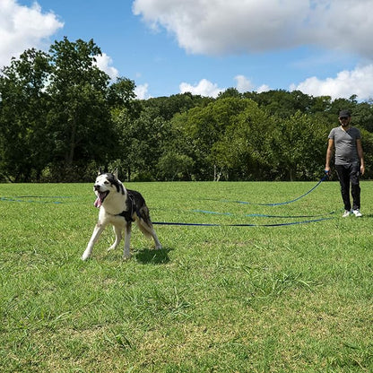 Hi Kiss Dog/Puppy Obedience Recall Training Agility Lead - 15ft 20ft 30ft 50ft 100ft Leash - Great for Play, Camping, or Backyard - Orange 30ft