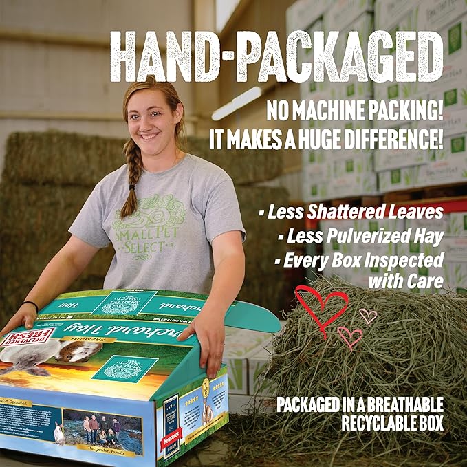 Small Pet Select Orchard Grass Hay Pet Food, 20 Lb.