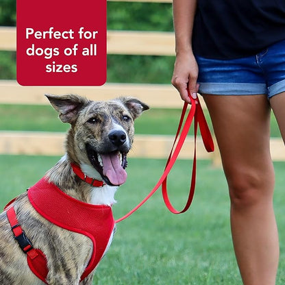 Coastal Pet Single-Ply Dog Leash - Sturdy Pet Leash - Comfortable & Stylish - Resists Fraying - Vibrant & Fade-Resistant Color - Orchid, 3/8" x 6'