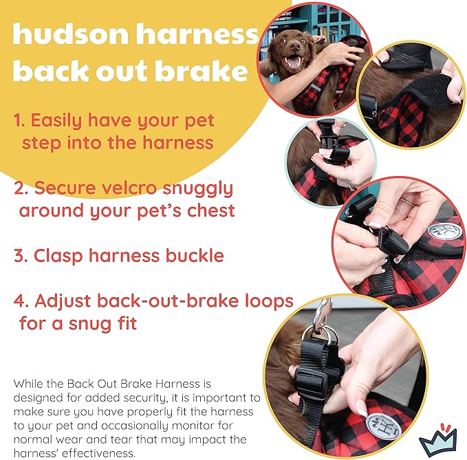 Huxley & Kent Hudson Walking & Training Harness - Blue/Green Check (Large, 22-35lbs) - Easy Control Step-in Mesh Vest Harness with Reflective Strips for Safety - H&K