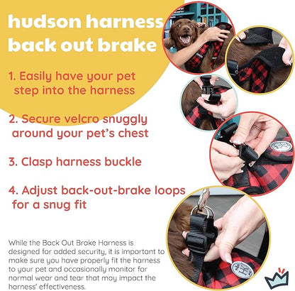 Huxley & Kent Hudson Walking & Training Harness - Blue/Green Check (Large, 22-35lbs) - Easy Control Step-in Mesh Vest Harness with Reflective Strips for Safety - H&K