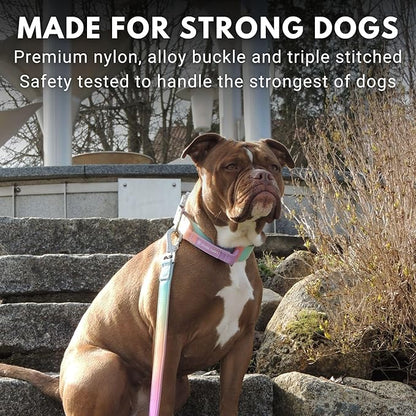 Tactical Dog Collar with Handle - Premium Quality Collar, Robust and Durable Design for Large, Strong Breeds - Pitbulls, Labradors, GSD - Pastel Icing - L - 1.5"