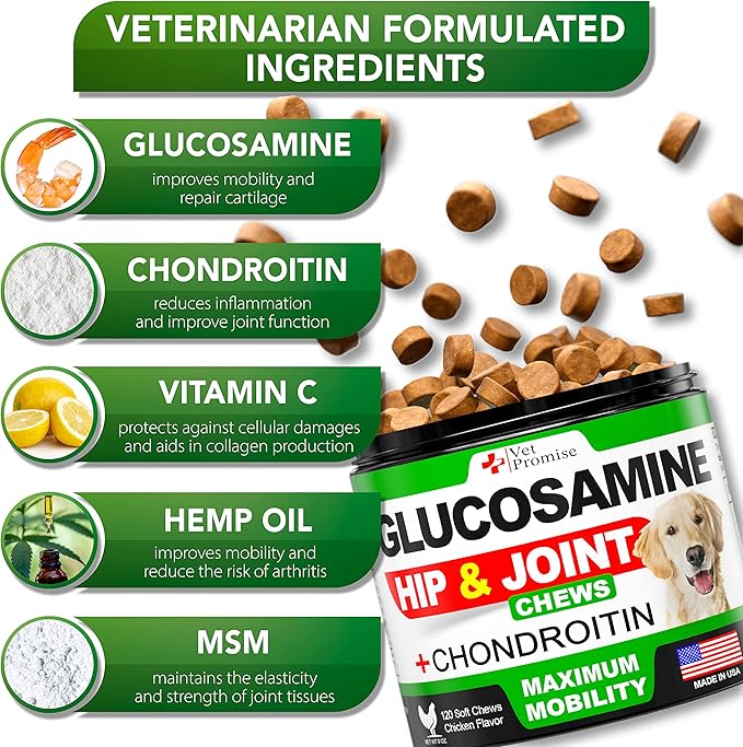 Glucosamine for Dogs - Hip and Joint Supplement for Dogs - Glucosamine Chondroitin - Joint Pain Relief Pills - MSM - Advanced Health Support Supplement - 120 Mobility Chews - Made in USA