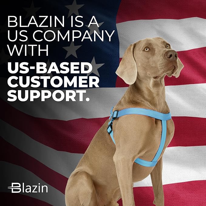 BLAZIN Reflective Dog Harness - 'Color Me Happy!' Adjustable Step-in Reflective Nylon Vest Harness - Neoprene Padded for Extra Comfort (Large, Blue)