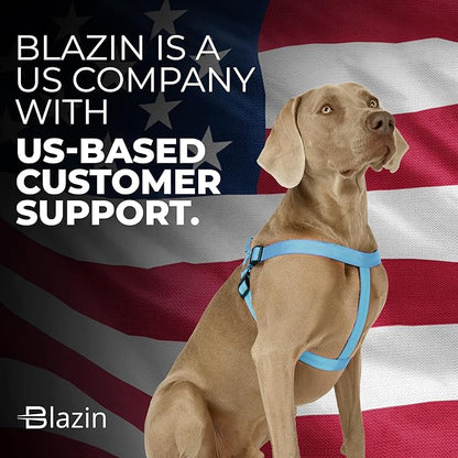 BLAZIN Reflective Dog Harness - 'Color Me Happy!' Adjustable Step-in Reflective Nylon Vest Harness - Neoprene Padded for Extra Comfort (Large, Blue)