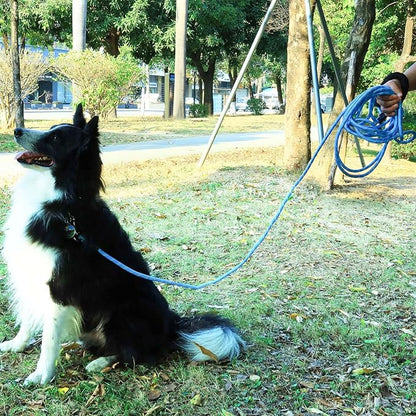 (2 Pack) Long Dog Leash for Dog Training 30FT, Lockable Hook Heavy Duty Dog Lead Tie Out Rope for Large Medium Small Dogs Outside Walking, Playing, Camping, or Yard(Black&Blue)