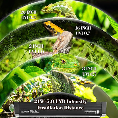 NEPTONION T5 Reptile UVB Light 34.5 Inches Fixture with UVB 5.0 Bulb High Output Hood for Terrariums, Basking Reptiles, Lizards, Chameleons, Iguanas, Bearded Dragons, 21W