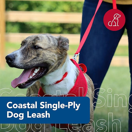 Coastal Pet Single-Ply Dog Leash - Sturdy Pet Leash - Comfortable & Stylish - Resists Fraying - Vibrant & Fade-Resistant Color - Neon Pink, 3/8" x 6'