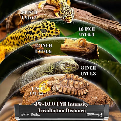 NEPTONION T5 Reptile UVB Light 6.5 Inches Fixture with UVB 10.0 Bulb High Output Hood for Terrariums, Basking Reptiles, Lizards, Chameleons, Iguanas, Bearded Dragons, 4W