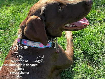 Lucky Love Dog, Boho Chic Matching Dog Collar and Leash Set, Vivid Pink and Turquoise Collar and Leash for Dogs, Soft, Adjustable, Safe for Training and Walking - (Large, Clara Combo)