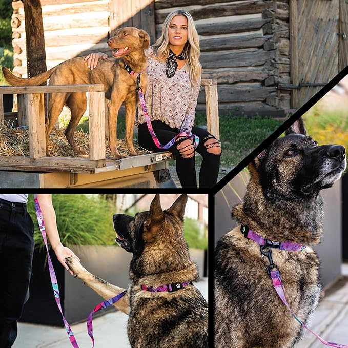 Wolfgang Heavy Duty Adjustable Dog Harness, Pull-Tested to Over 800 lbs for Walking & Training, Daydream Print, Large
