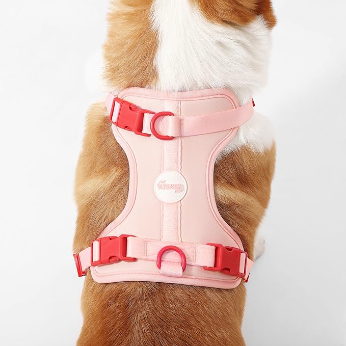 HNS1002G Arlo Medium Adjustable Soft Padded No Pull Pet Harness with 3 Buckles and 3 Leash Clips, Paloma
