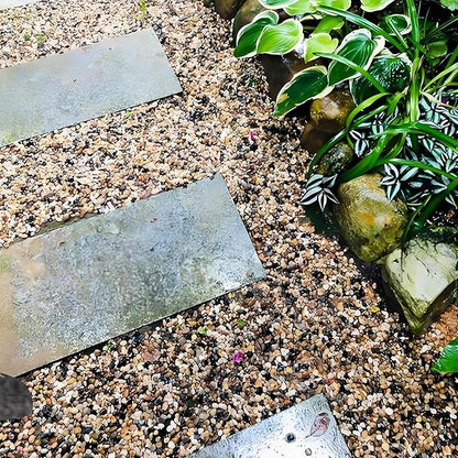 5 lbs Aquarium Gravel, Pea Gravel for Fish Tank,1/4 Inch Decorative River Rocks for Aquarium Succulent Vase Plant Soil Cover and Outdoor Landscaping