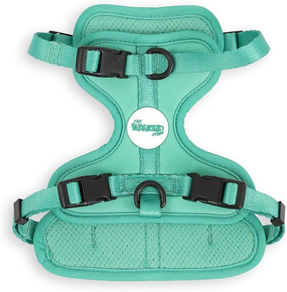 HNS1001K Arlo Small Adjustable Soft Padded No Pull Pet Harness with 3 Buckles and 3 Leash Clips, Julep