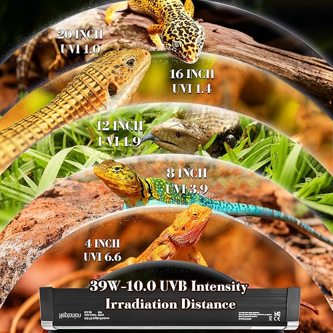 NEPTONION T5 Reptile UVB Light 34.5 Inches Fixture with UVB 10.0 Bulb High Output Hood for Terrariums, Basking Reptiles, Lizards, Chameleons, Iguanas, Bearded Dragons, 39W