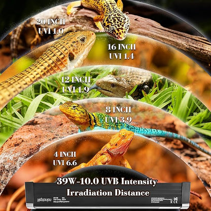 NEPTONION T5 Reptile UVB Light 34.5 Inches Fixture with UVB 10.0 Bulb High Output Hood for Terrariums, Basking Reptiles, Lizards, Chameleons, Iguanas, Bearded Dragons, 39W