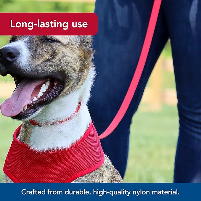 Coastal Pet Single-Ply Dog Leash - Sturdy Pet Leash - Comfortable & Stylish - Resists Fraying - Vibrant & Fade-Resistant Color - Orchid, 3/8" x 6'