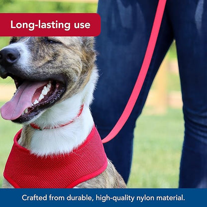 Coastal Pet Single-Ply Dog Leash - Sturdy Pet Leash - Comfortable & Stylish - Resists Fraying - Vibrant & Fade-Resistant Color - Orchid, 3/8" x 6'