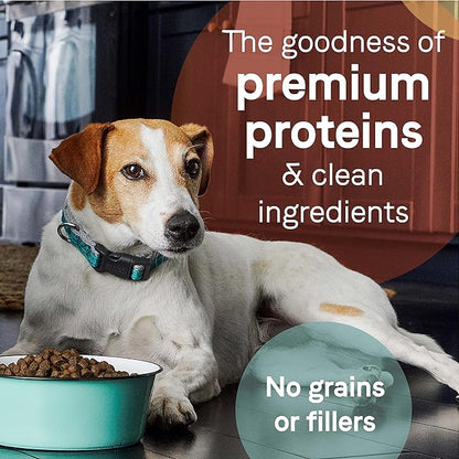 Canidae Pure Limited Ingredient Premium Puppy Dry Dog Food, Real Chicken, Lentil & Whole Egg Recipe, 12 lbs, Grain Free