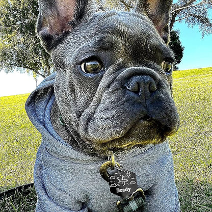 Personalized Dog Tag with 5 Lines of Custom Deep Engraved Durable Stainless Steel Pet ID Name Tag Designer Small Size Hexagon