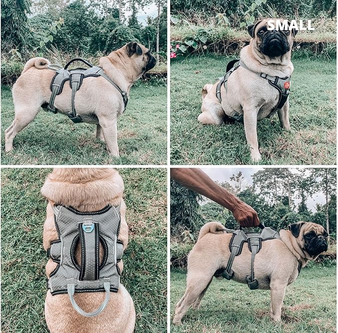Tuff Pupper Escape Proof No Escape Dog Harness | 5 Point Adjustable Fit Harness for Dogs | Padded Dog Harnesses | Handle Dog Lift Harnesses