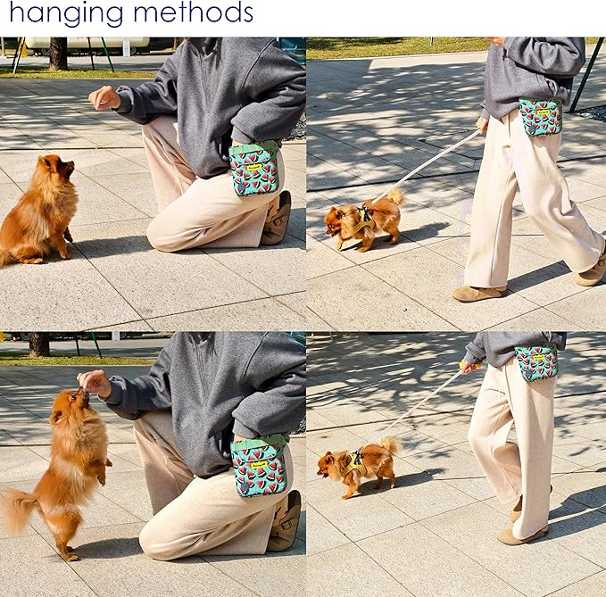 Dog Treat Pouch for Pet Walking and Training with Clicker 2 Cup Silicone Bag Small Fanny Pack Holder for Puppy Snack Dispenser Kit for Leash and Outdoor Use (Watermelon)