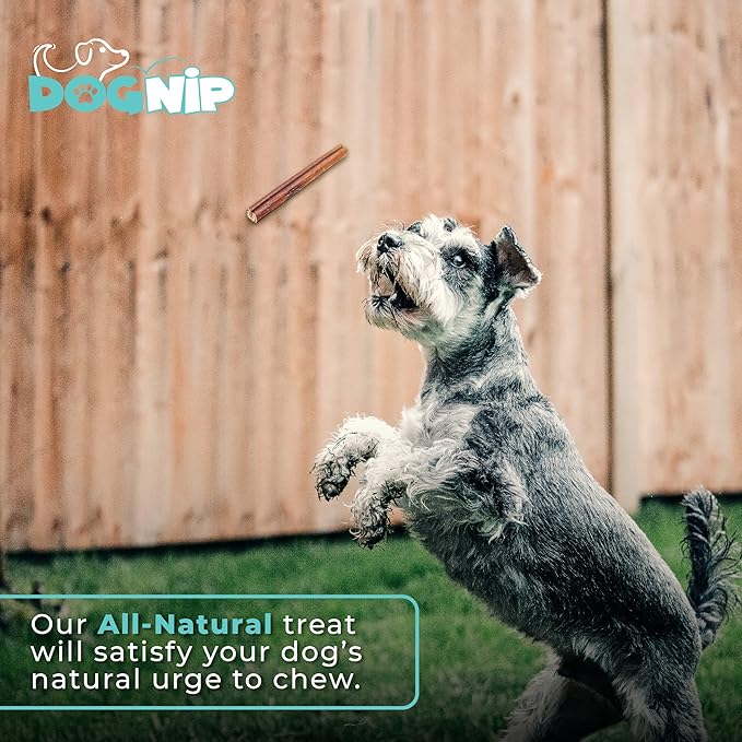 Dog Nip! 6" Straight Odor Free Bully Sticks (25 Pack) - All Natural Bully Pizzle Bone - Best Long Lasting Dog Chew Dental Treats For Small, Medium, Large Breeds