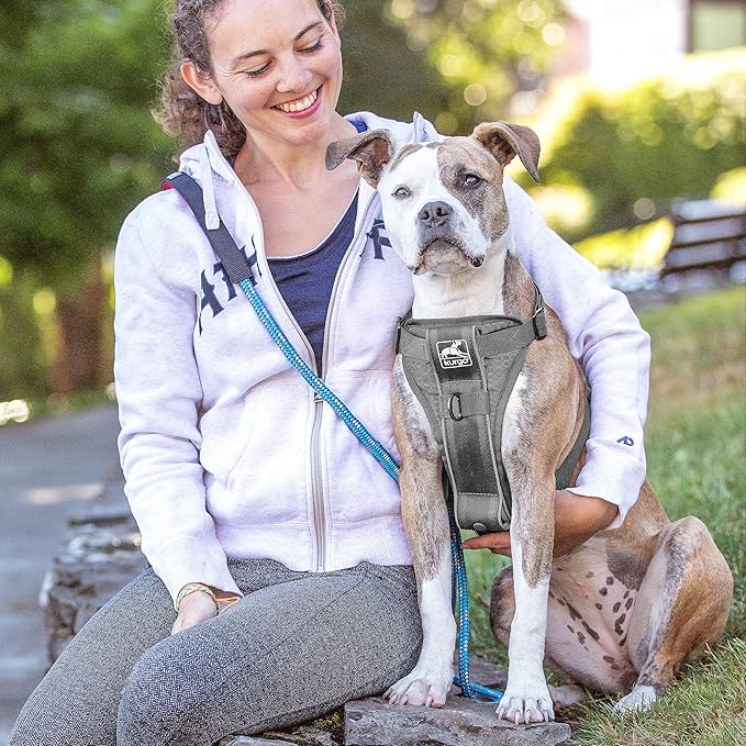 Kurgo Tru-Fit Smart Dog Walking Harness - Comfortable Fit - Adjustable Harness - Reflective Pet Wear - Quick Strap Release - Daily Walk Accessory - Includes Seat Belt Loop - Grey - X-Large