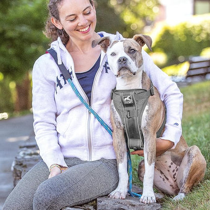 Kurgo Tru-Fit Smart Dog Walking Harness - Comfortable Fit - Adjustable Harness - Reflective Pet Wear - Quick Strap Release - Daily Walk Accessory - Includes Seat Belt Loop - Grey - X-Large
